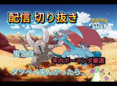 【ポケスリ】ポケスリ配信切り抜き 「蜜乞食」「年内ボーマンダ厳選」「タツベイ来んかったら...」