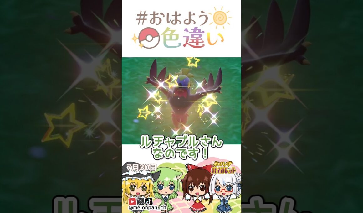 ☀️フライングプレス！色違いルチャブル💥✨2026年7月28日 #おはよう色違い #おは色 #ポケモン