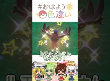 ☀️フライングプレス！色違いルチャブル💥✨2026年7月28日 #おはよう色違い #おは色 #ポケモン