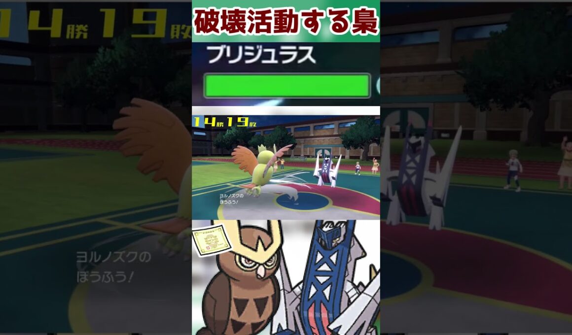 色眼鏡で負担をかける【C特化ヨルノズク】#shorts  #配信切り抜き  #ポケモンsv #ポケモン