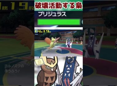 色眼鏡で負担をかける【C特化ヨルノズク】#shorts  #配信切り抜き  #ポケモンsv #ポケモン