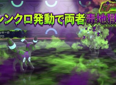 心が折れる💔　メガフシギバナ×ブラッキーコンビが要塞すぎる😱　【ポケモンチャンピオンズ/Pokémon Champions】