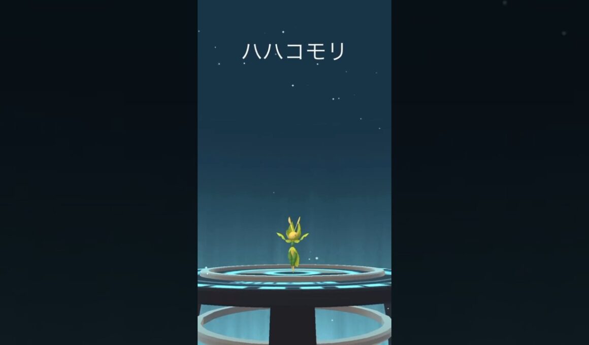 【ポケモンGO】色違いクルミル➡︎ハハコモリ【コミュデイ2024年10月】
