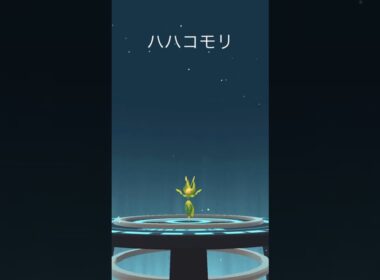 【ポケモンGO】色違いクルミル➡︎ハハコモリ【コミュデイ2024年10月】