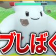 【マスタープレミア】調子こいてるガブリアスを「トゲキッス」でわからせる！