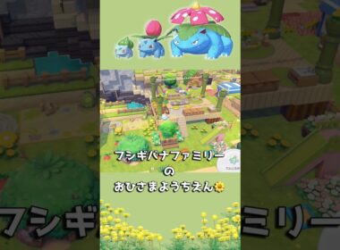 🌱フシギバナファミリーのおひさまようちえん☀️ #ぽこあポケモン #ぽこポケ #pokemonpokopia #pokopia