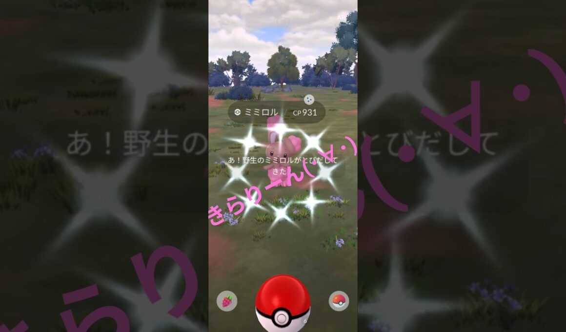 【ポケモンGO】ミミロル色違い発見🤩 #ポケモンgo #ミミロル #色違い #pokemongo