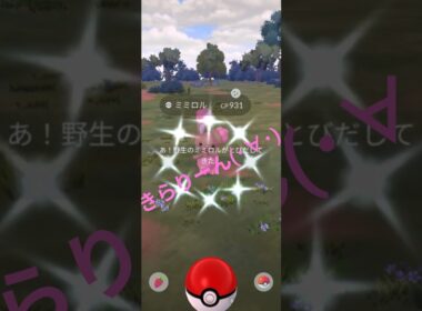 【ポケモンGO】ミミロル色違い発見🤩 #ポケモンgo #ミミロル #色違い #pokemongo