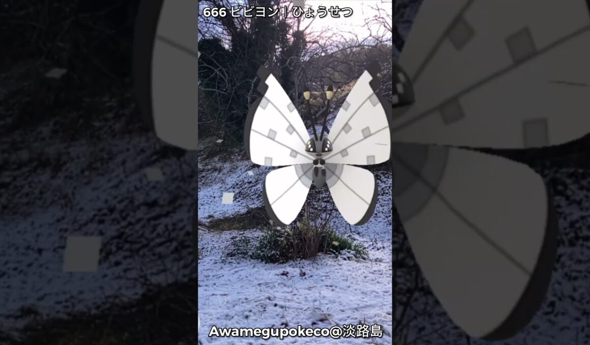 666ビビヨン｜Vivillon｜ひょうせつ｜Icy Snow｜AR動画｜PoKeMoN GO AR【ポケモンGO】淡路島でも雪