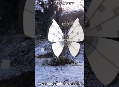 666ビビヨン｜Vivillon｜ひょうせつ｜Icy Snow｜AR動画｜PoKeMoN GO AR【ポケモンGO】淡路島でも雪
