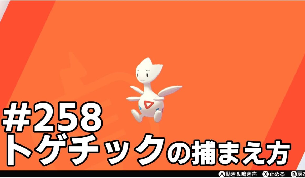 トゲチックを探している方に見てほしい動画