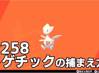 トゲチックを探している方に見てほしい動画