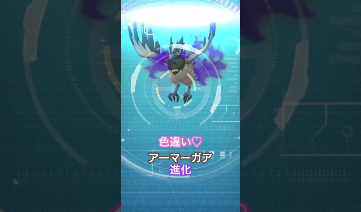 #アーマーガア #色違いポケモン #ポケモンgo