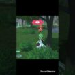 【Pokémon LEGENDS Z-A】コイキングのオヤブンをゲット　#ポケモンza #ゲームリハビリ #切り抜き #shorts
