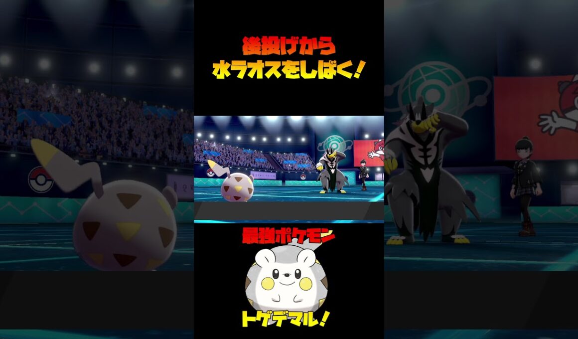 後投げから水ウーラオスをしばく！最強爆弾！！トゲデマル！【ポケモン剣盾】#shorts