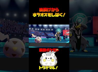 後投げから水ウーラオスをしばく！最強爆弾！！トゲデマル！【ポケモン剣盾】#shorts