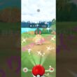 【ポケモンGO】オタチ色違い発見🤩 #ポケモンgo  #オタチ #色違い # #pokemongo