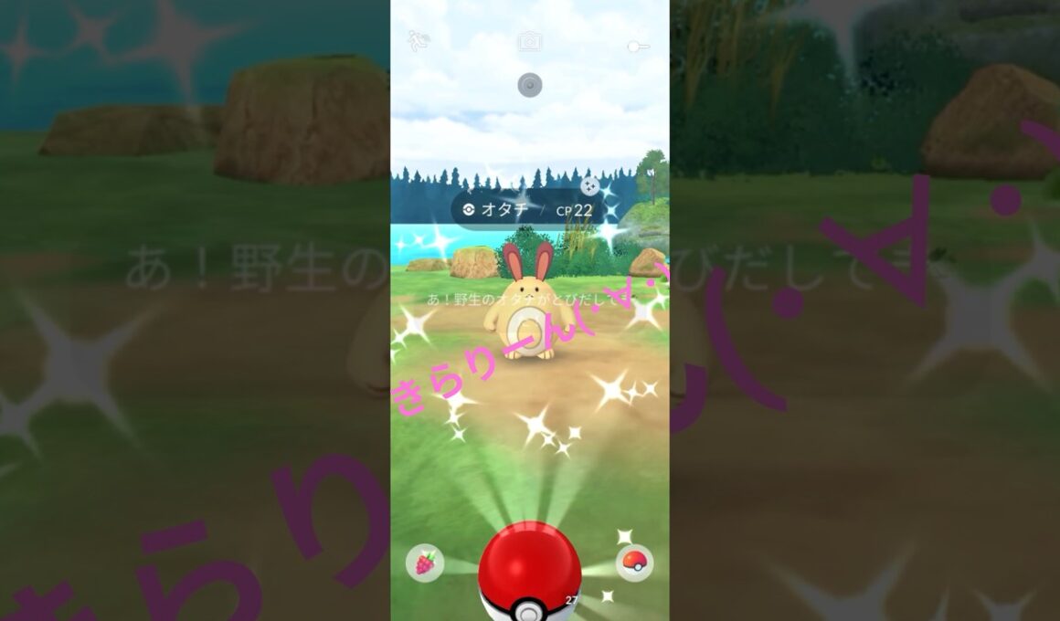 【ポケモンGO】オタチ色違い発見🤩 #ポケモンgo  #オタチ #色違い # #pokemongo