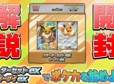 【まずはこれ見て】「スターターセットex イーブイex」デッキの開封＋使い方解説【ポケモンカード/スターターセットex】
