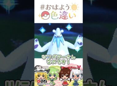 ☀️冷たい海をすいすい！色違いツンベアー🐻✨2026年7月25日 #おはよう色違い #おは色 #ポケモン