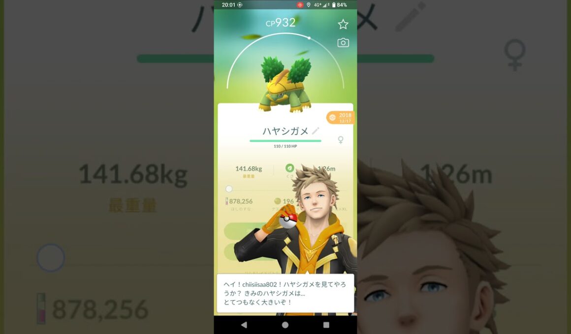 ポケモンGO　ハヤシガメ