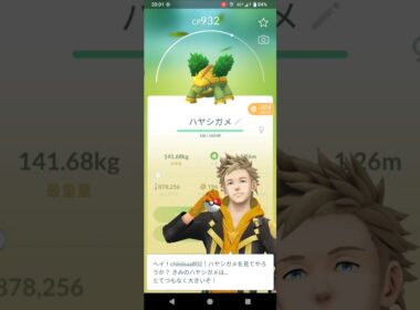 ポケモンGO　ハヤシガメ