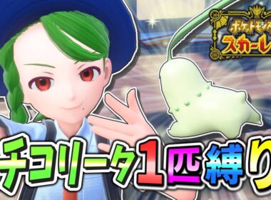 今から始めるSVチコリータ1匹縛りPart1【ポケモンSV】【ゆっくり実況】