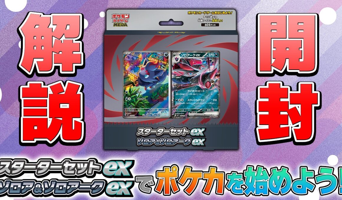 【まずはこれ見て】「スターターセットex ゾロア＆ゾロアークex」の開封＋使い方解説【ポケモンカード/スターターセットex】