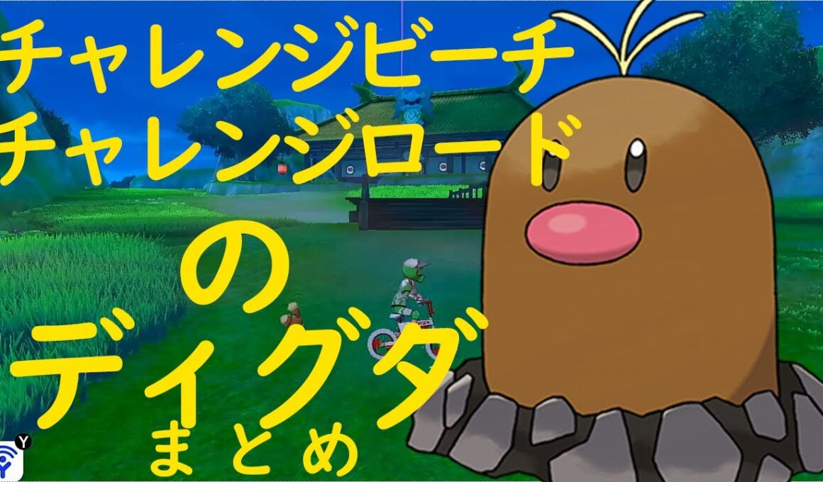 【ポケモン剣盾】チャレンジビーチ・ロードのディグダの居場所まとめ Diglett 151Complete【ポケットモンスター PokemonSwordShield 鎧の孤島】