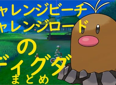 【ポケモン剣盾】チャレンジビーチ・ロードのディグダの居場所まとめ Diglett 151Complete【ポケットモンスター PokemonSwordShield 鎧の孤島】