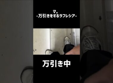 マ。-万引きするラフレシア-