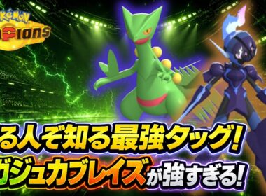 メガジュカインの最強の相棒、ソウブレイズ説【ポケモンチャンピオンズ】