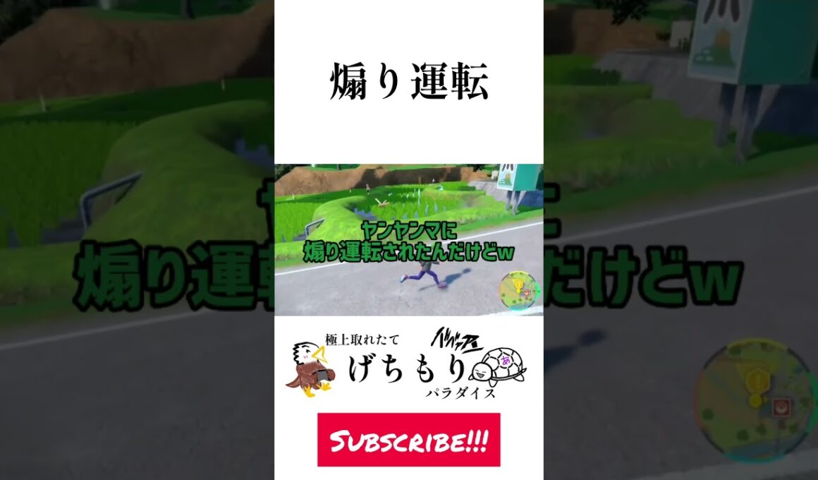 ヤンヤンマに煽り運転されたんだがｗｗ #ポケモン #ポケットモンスター #ポケットモンスタースカーレットバイオレット #pokemon #pokemonscarletandviolet