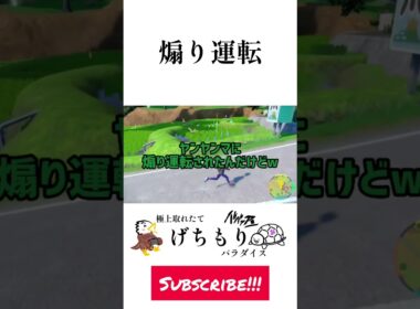 ヤンヤンマに煽り運転されたんだがｗｗ #ポケモン #ポケットモンスター #ポケットモンスタースカーレットバイオレット #pokemon #pokemonscarletandviolet