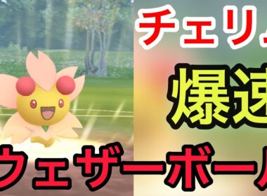 チェリムの爆速ウェザーボールが優秀！【GOバトルリーグ】
