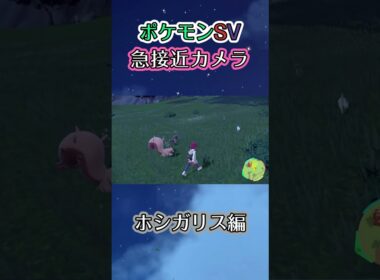 【ポケモンSV】リスリスパニックを引き起こした動画 #ポケモン #ポケモンsv #ホシガリス #shorts
