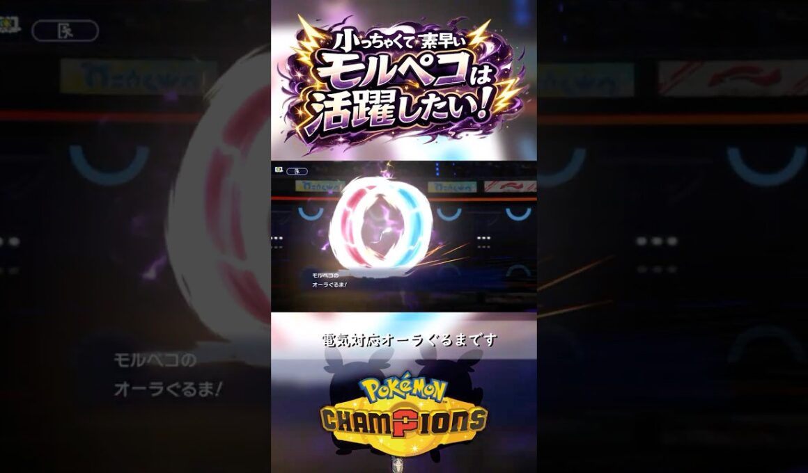 サブのつもりが思った以上に活躍したモルペコちゃん【Pokémon Champions】