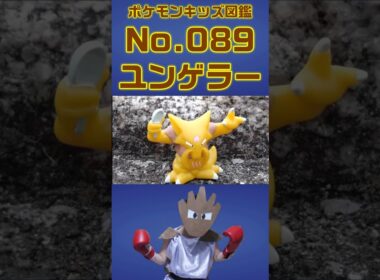 ポケモン実体図鑑No 089ユンゲラー #ポケモンキッズ#ユンゲラー