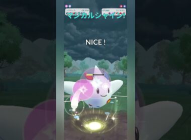 【マスプレ】HPギリギリのトゲキッスが偉い！【ポケモンGO】【バトルリーグ】#shorts #ポケモンgo #goバトルリーグ #gbl #マスターリーグ #pokemongo