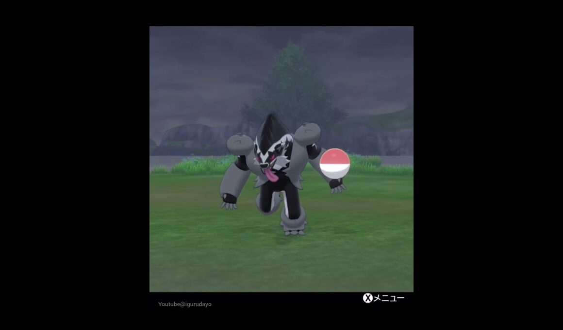 タチフサグマ🎵Obstagoon　#pokemonswordshield #ポケモン剣盾
