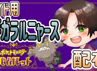 🔴いじっぱり夢ガラルニャース配布【ポケットモンスタースカーレットバイオレット『ポケモンSV』#ポケモン　#ポケットモンスター 　#ポケモンsv