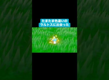 たまたま色違いのラルトスに出会った【ポケモンSV】