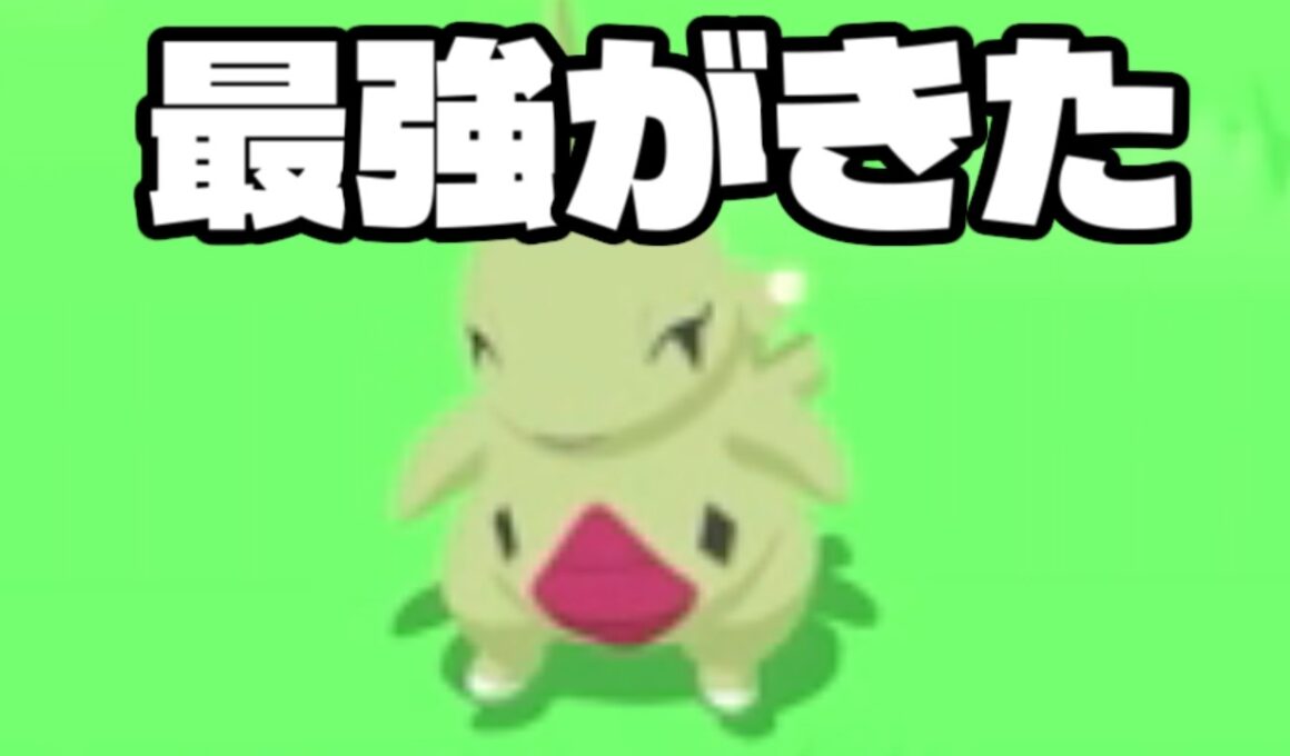 回避性能が最強のヨーギラスに会いました（？）【ポケモンスリープ】