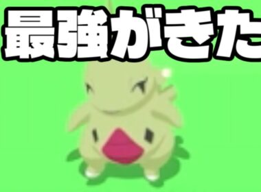 回避性能が最強のヨーギラスに会いました（？）【ポケモンスリープ】