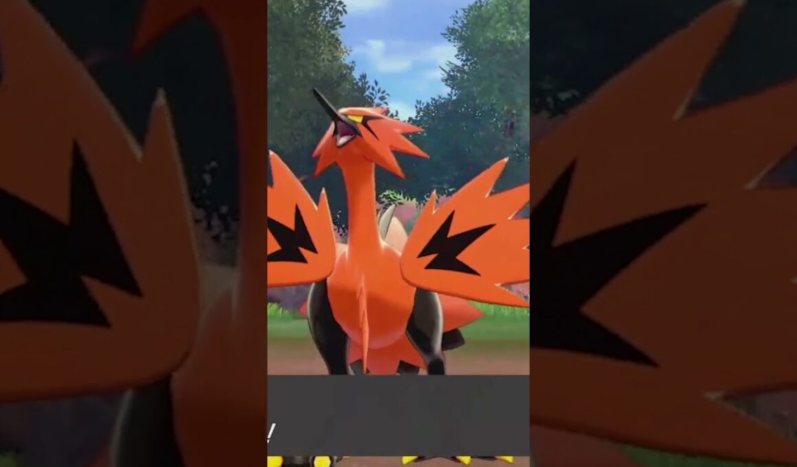 【ポケモン剣盾】今回はサンダーをゲットです #12 ポケットモンスター ソード・シールド実況