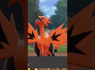【ポケモン剣盾】今回はサンダーをゲットです #12 ポケットモンスター ソード・シールド実況