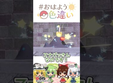 ☀️まさかの殴り合い！？色違いスナバァ🪏✨2026年7月31日 #おはよう色違い #おは色 #ポケモン