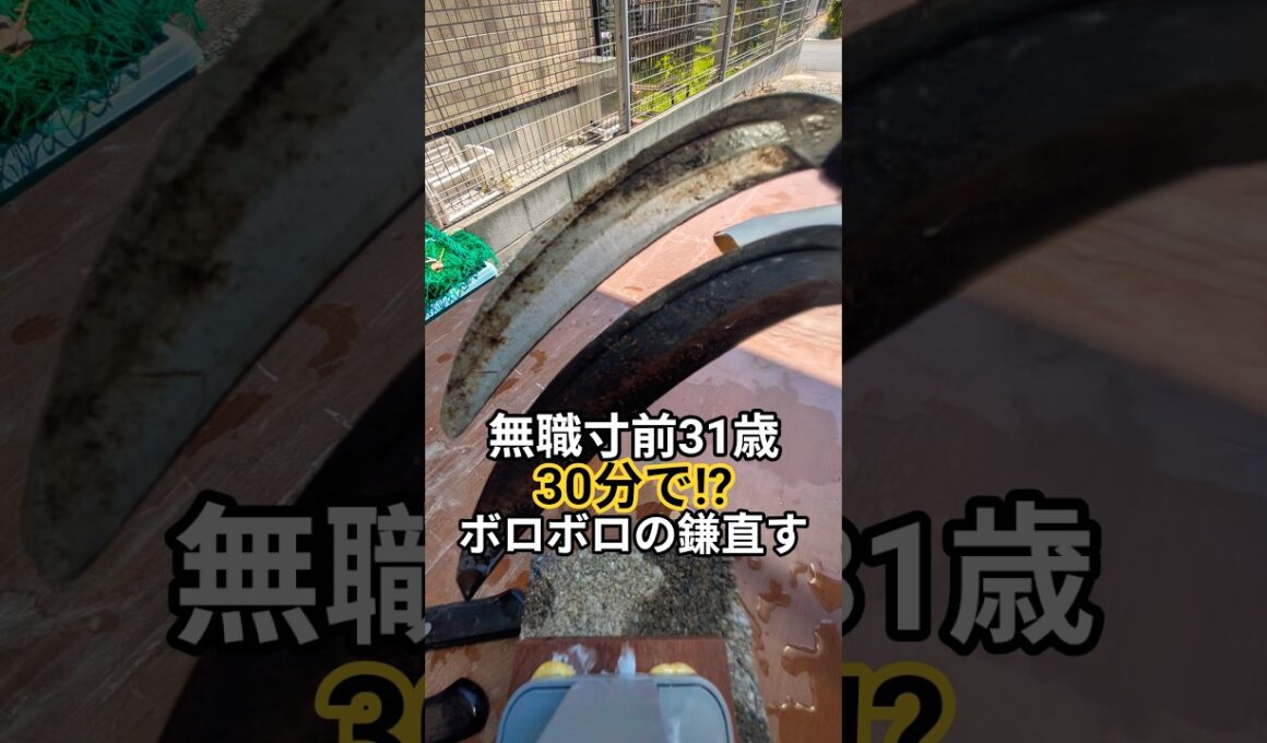 【ボロボロの鎌を30分で直す】サンドペーパー荒いのは使わないでね😭無職寸前31歳独身中年孤独弱者男性#修理 #修理方法 #restoration