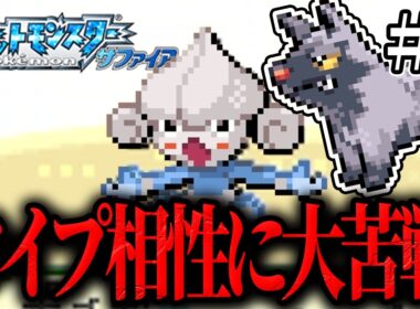 【ポチエナ縛り】タイプ相性最悪のかくとうジム、勝てるんかこれ【ポケモンサファイア】