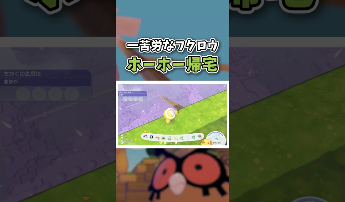 超高所から滑空するホーホーが健気でかわいい【ぽこ あ ポケモン】#shorts
